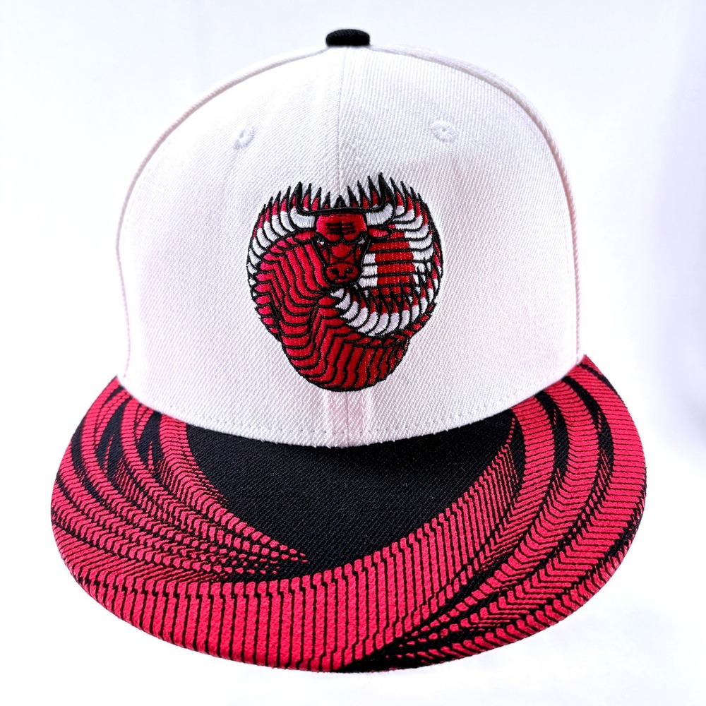 Melonwear NBA Chicago Bulls BMO Harris Artist Series Chuck Anderson Snapback Hat